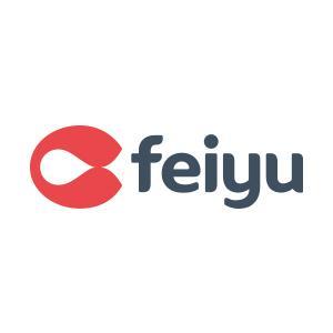 厦门飞游信息科技有限公司