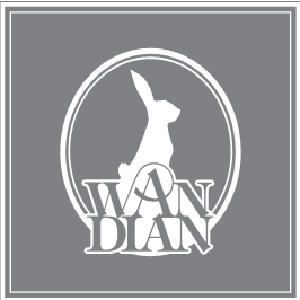 上海婉甸服饰有限公司